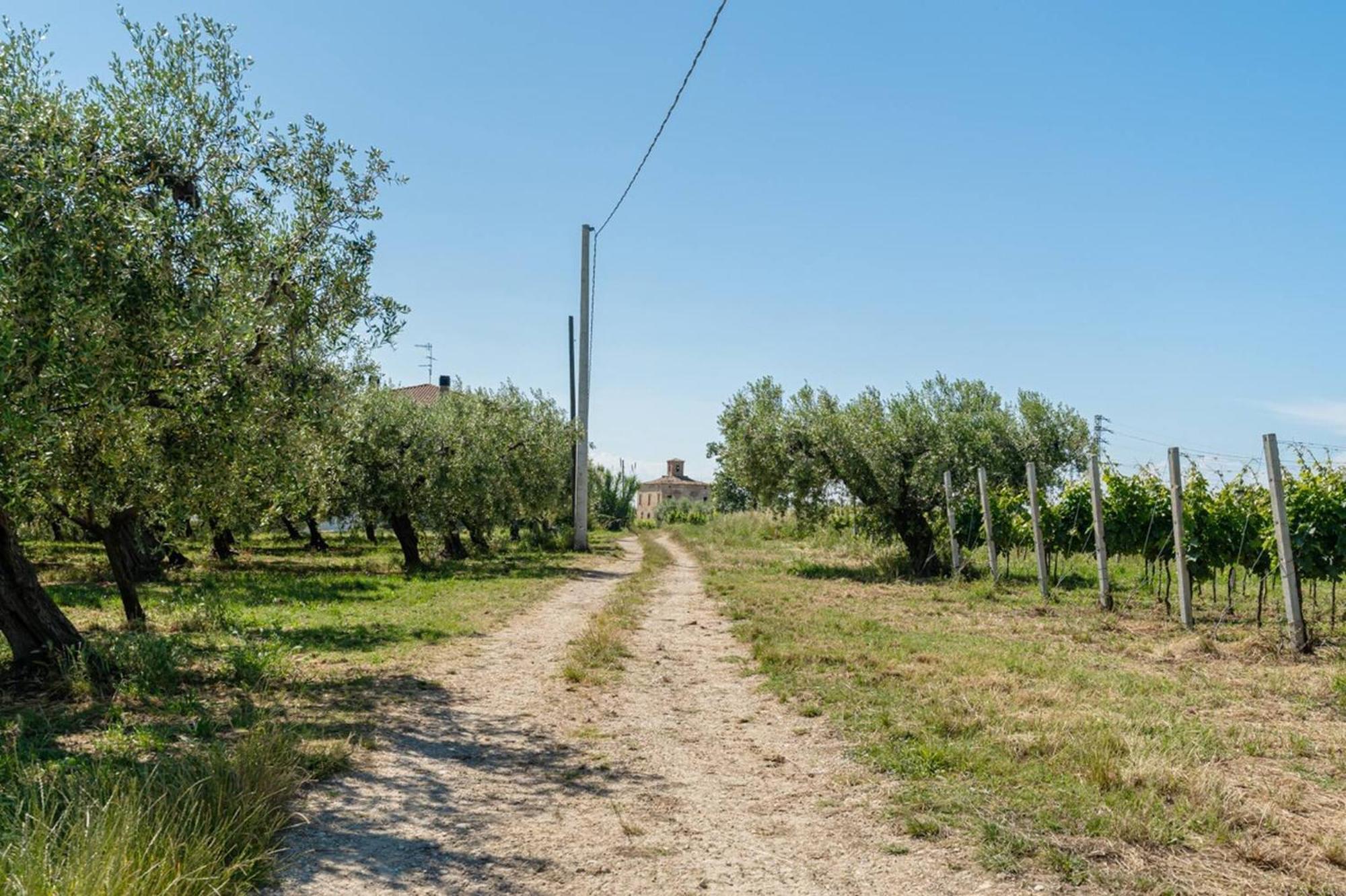Villa Turin - Yourplace Abruzzo Torino di Sangro Exterior photo
